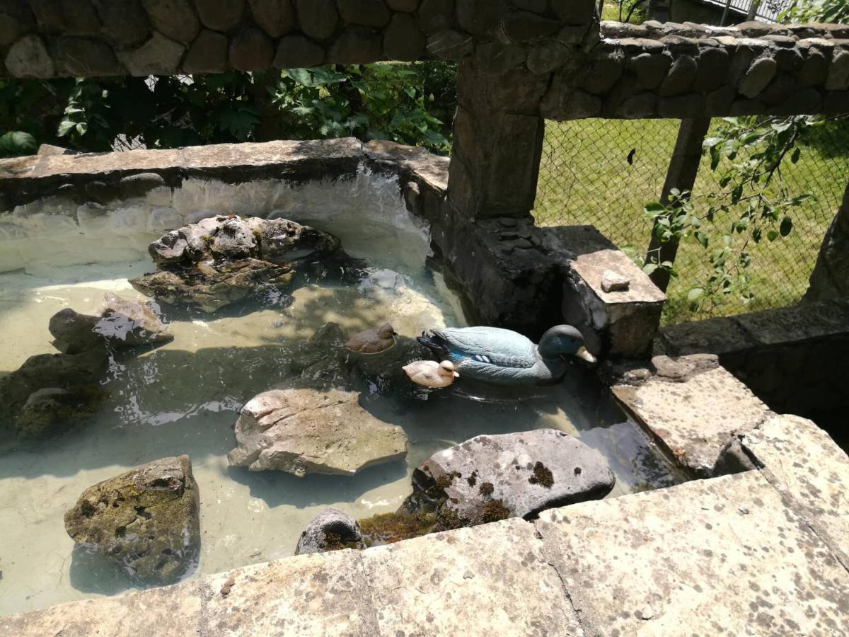 Самостоятелни стаи в къща за гости Балкан Рибарица Экстерьер фото