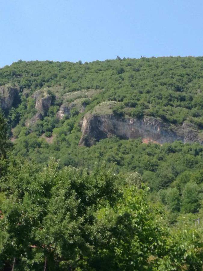 Самостоятелни стаи в къща за гости Балкан Рибарица Экстерьер фото